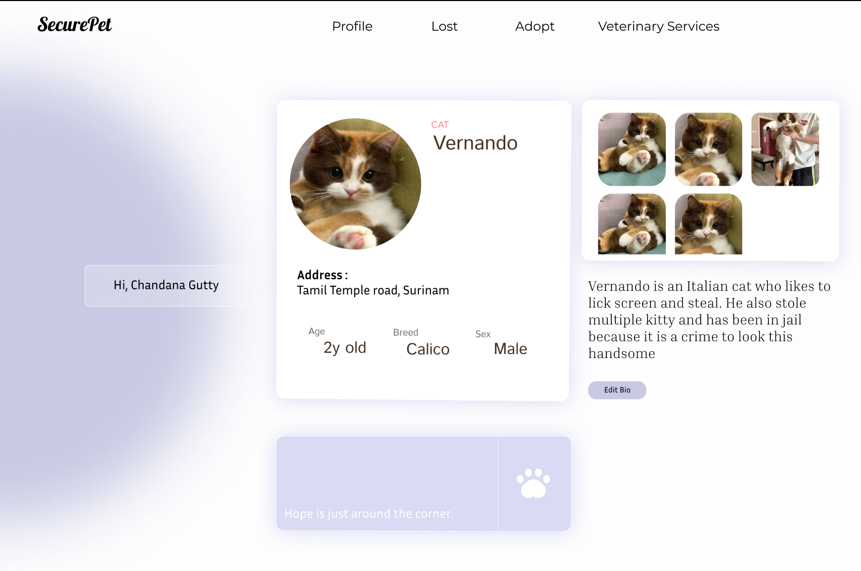 SecurePet home